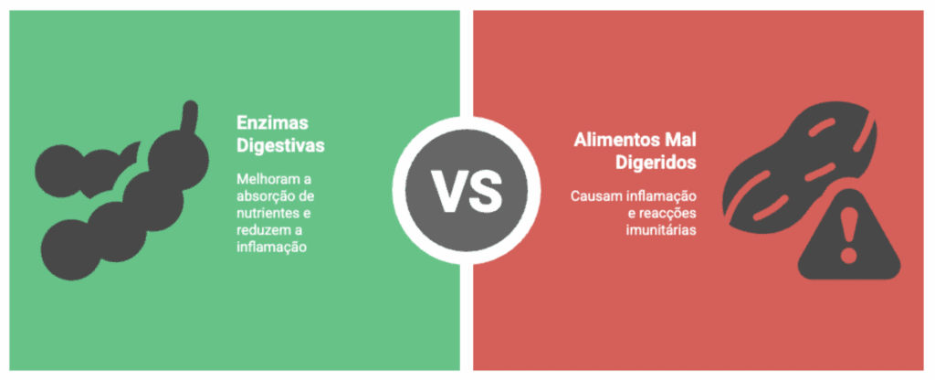 enzimas digestivas